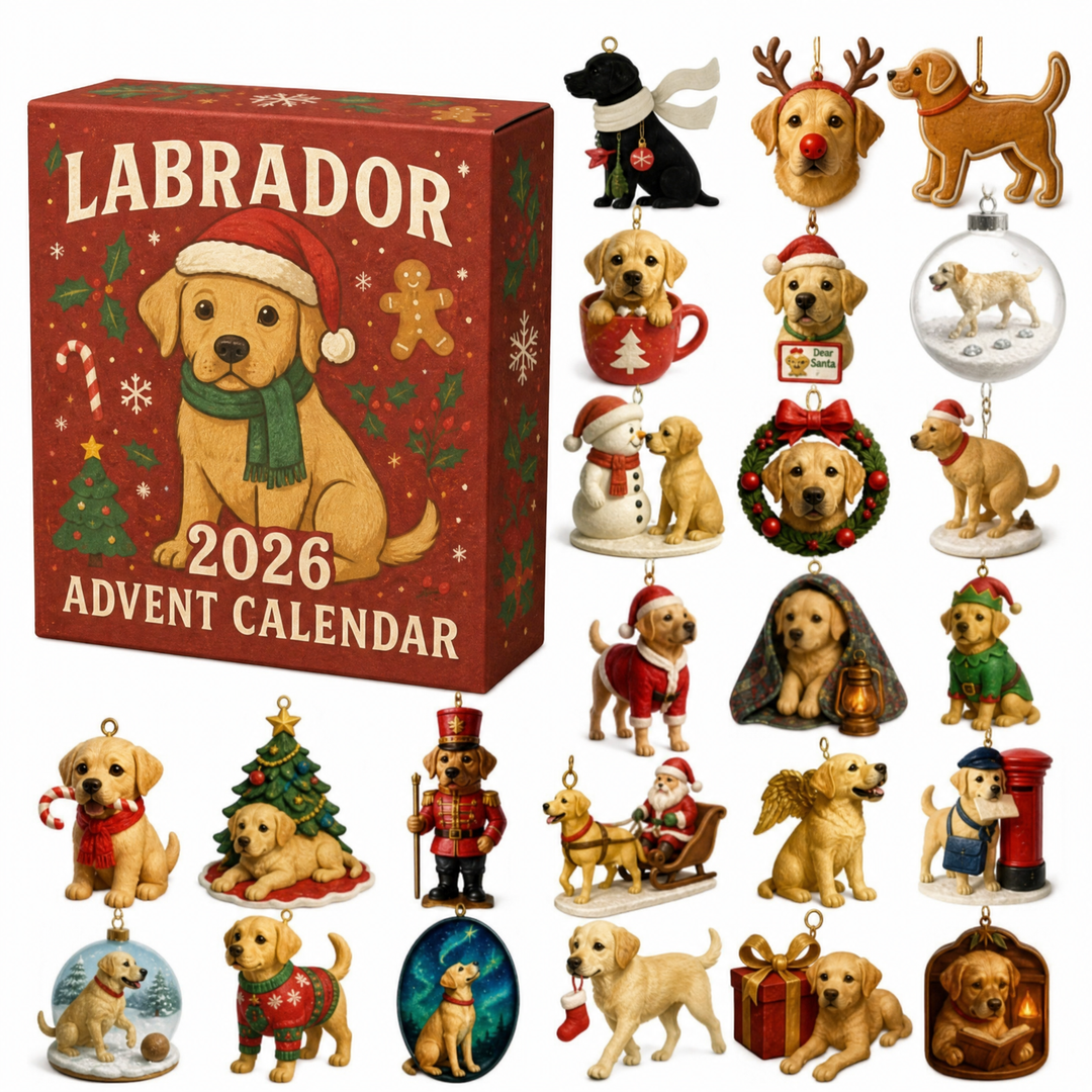 CALENDRIER DE L’AVENT - Labrador