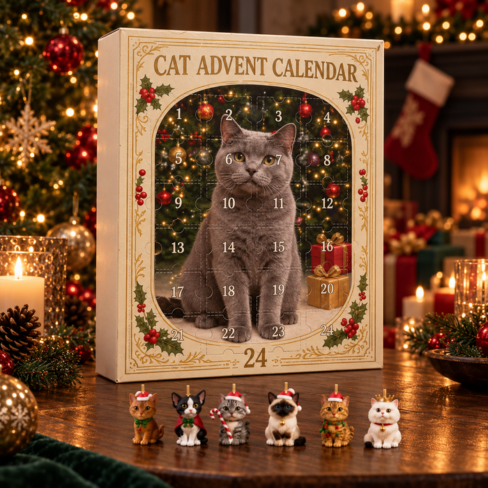 CALENDRIER DE L’AVENT -  Chats