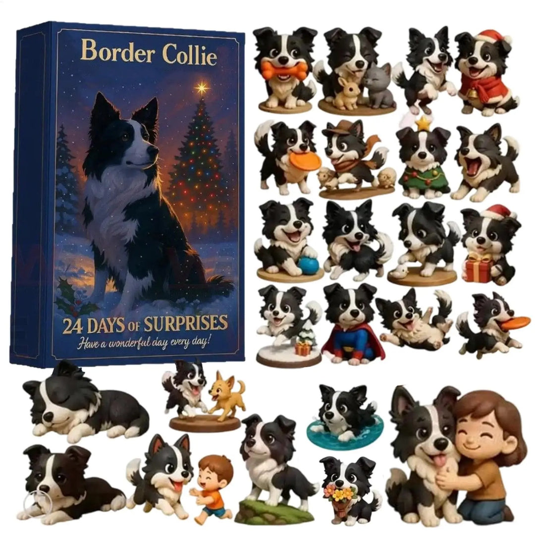 CALENDRIER DE L’AVENT - Border Collie